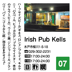 Irish Pub Kells